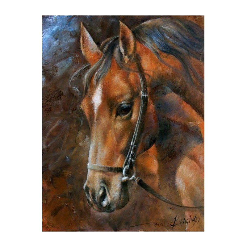 Diamond Painting Pferd 40x30 cm