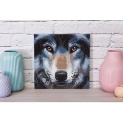 Crystal Art Wolf 30x30 cm