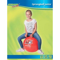 Outdoor active Sprungball Junior, _  45 cm