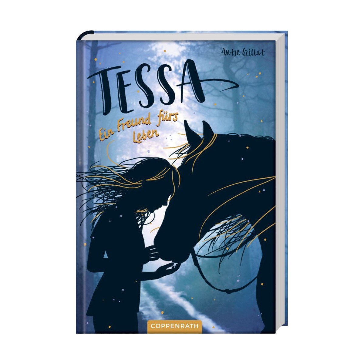 Tessa (Bd.3)   Ein Freund fürs Leben