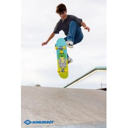 Schildkröt Skateboard Kicker 31'' Green Dog