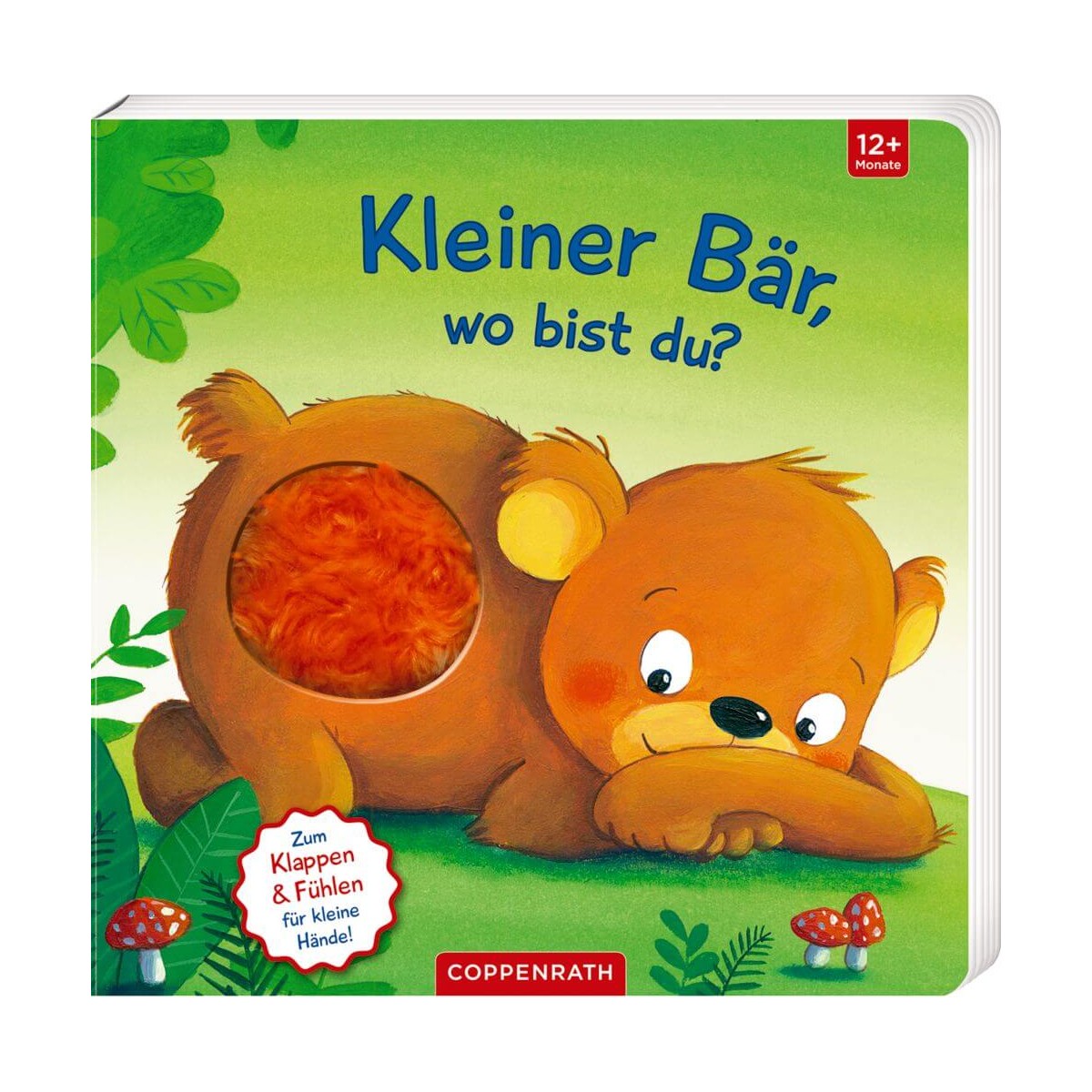 Mein 1. Guckloch Fühlbuch: keiner Bär, wo bist du? (Fühl.&beg.)