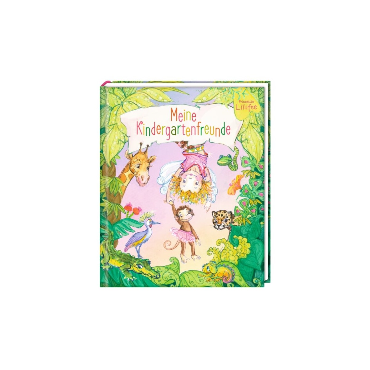 Coppenrath Verlag   Meine Kindergartenfreunde Prinzessin Lillifee