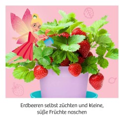 KOSMOS   Feen Erdbeeren