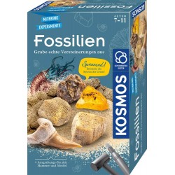 KOSMOS   Fossilien