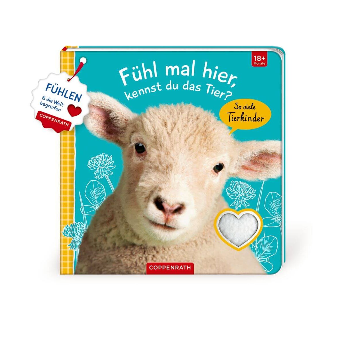 Fühl mal hier,kennst du...? So viele Tierkinder (Fühl.&beg.)