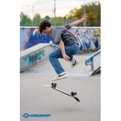 Schildkröt Skateboard Bigflip  31'' Splash