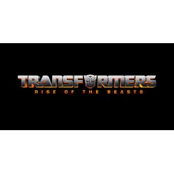 Hasbro F38965L0 Transformers Movie 7 New Transformation 10, sortiert