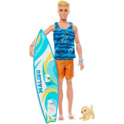 BRB Ken Surf  Doll + Accy