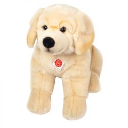 Golden Retriever sitzend 50cm