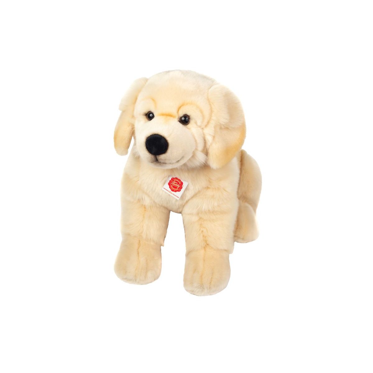 Golden Retriever sitzend 50cm