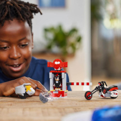 LEGO® Sonic the Hedgehog™ 76995  Shadow the Hedgehog Flucht