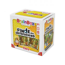 Brain box - BrainBox - Finde den