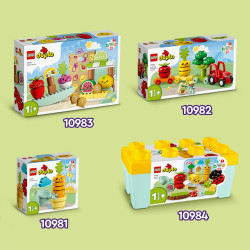 LEGO® DUPLO 10984 Biogarten