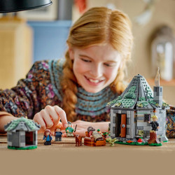 LEGO® Harry Potter 76428 Hagrids Hütte: Ein unerwarteter Besuch