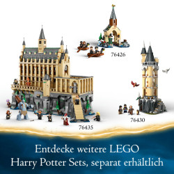 LEGO® Harry Potter™ 76431 Schloss Hogwarts™: Zaubertrankunterricht