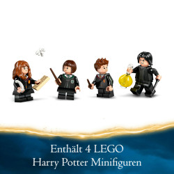 LEGO® Harry Potter™ 76431 Schloss Hogwarts™: Zaubertrankunterricht