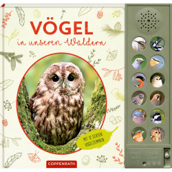 Vögel in unseren Wäldern   Nature Zoom (Soundbuch)