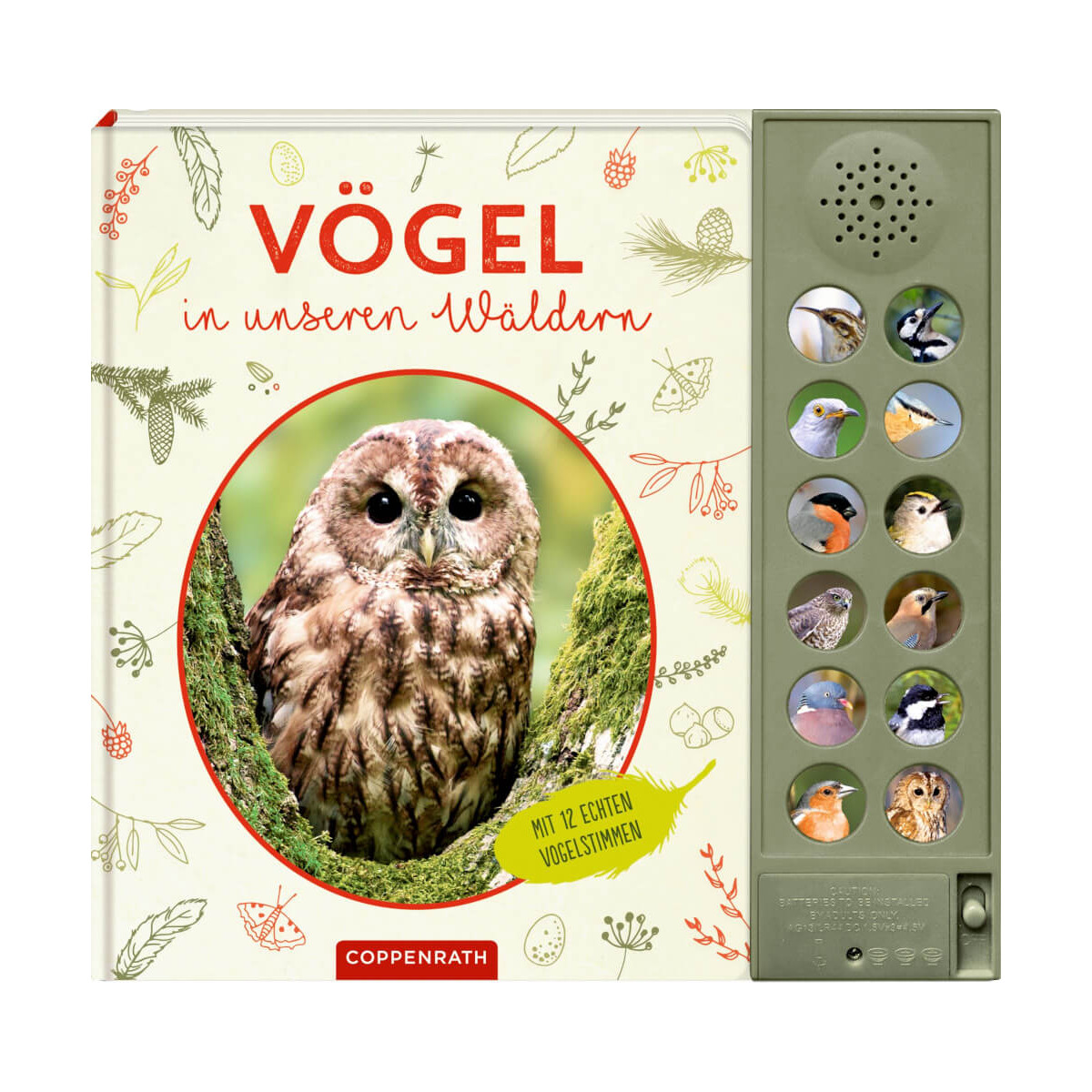 Vögel in unseren Wäldern   Nature Zoom (Soundbuch)