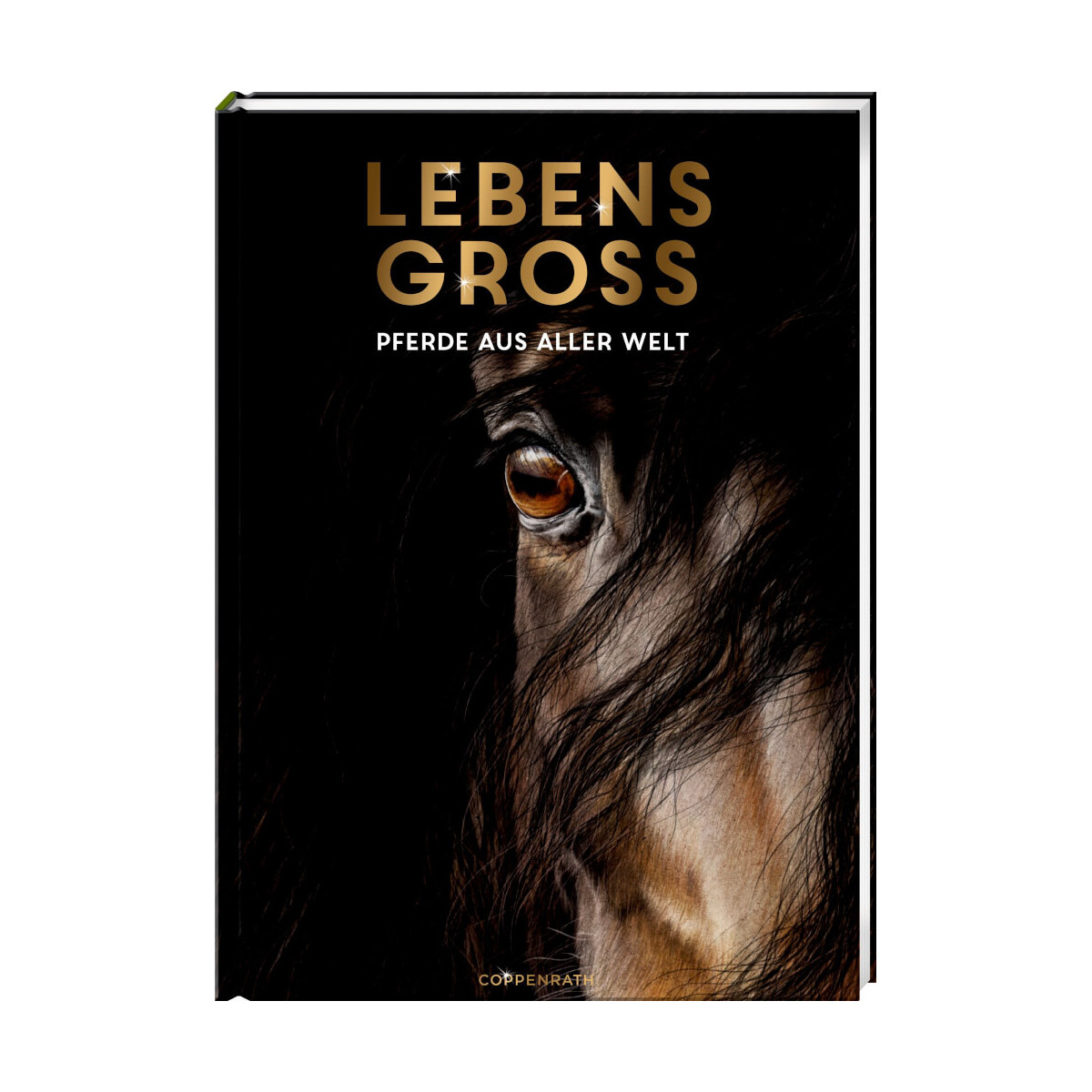 Lebensgroß   Pferde aus aller Welt