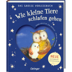 Wie kl.Tiere schlafen gehen Vorlesebuch