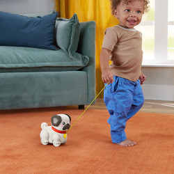 thumb-alternative:Fisher Price esiel & Zieh Mops