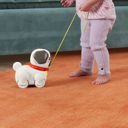 thumb-alternative:Fisher Price esiel & Zieh Mops