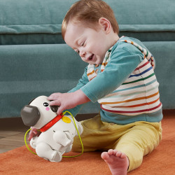thumb-alternative:Fisher Price esiel & Zieh Mops