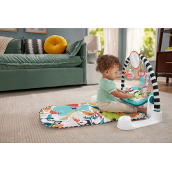 Fisher Price Glow and Grow Kick & Play Piano Gym (D)