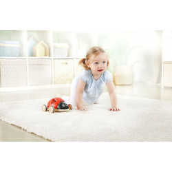 thumb-alternative:Formensortierer Marienkäfer