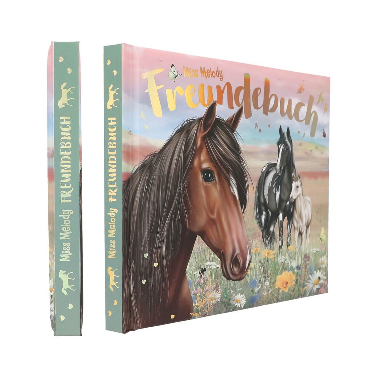 Miss Melody Freundebuch mit Pferdeillustrationen auf dem Cover, abgebildet von vorne und von der Seite.