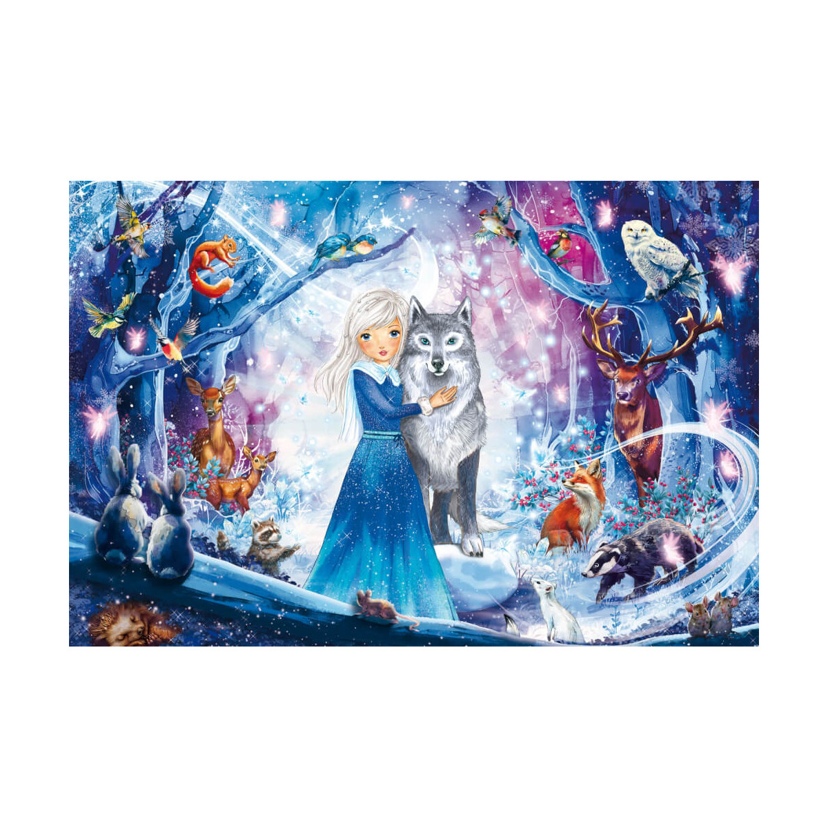 100T Prinzessin im Winterwald