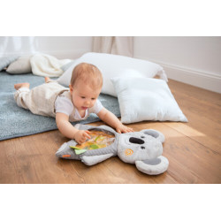 HABA Wasser Spielmatte Koala