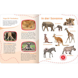 Mein großes Geräuschebuch – Tierbabys