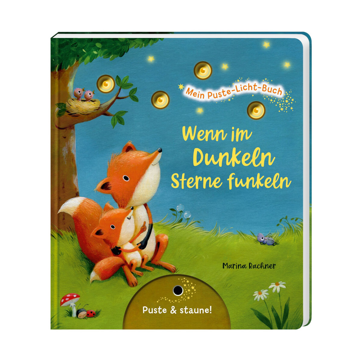 Mein Puste Licht Buch: Wenn im Dunkeln Sterne funkeln