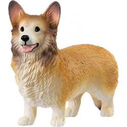 Welsh Corgi