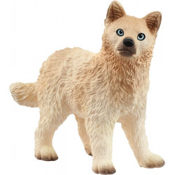 Polarwolf Welpe