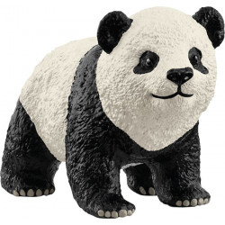 Grosser Panda Junges