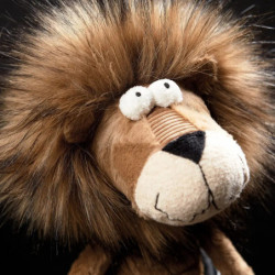 Sigikid  Metusa Leo BeastsTown