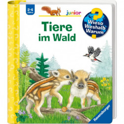 WWWjun77 Tiere im Wald