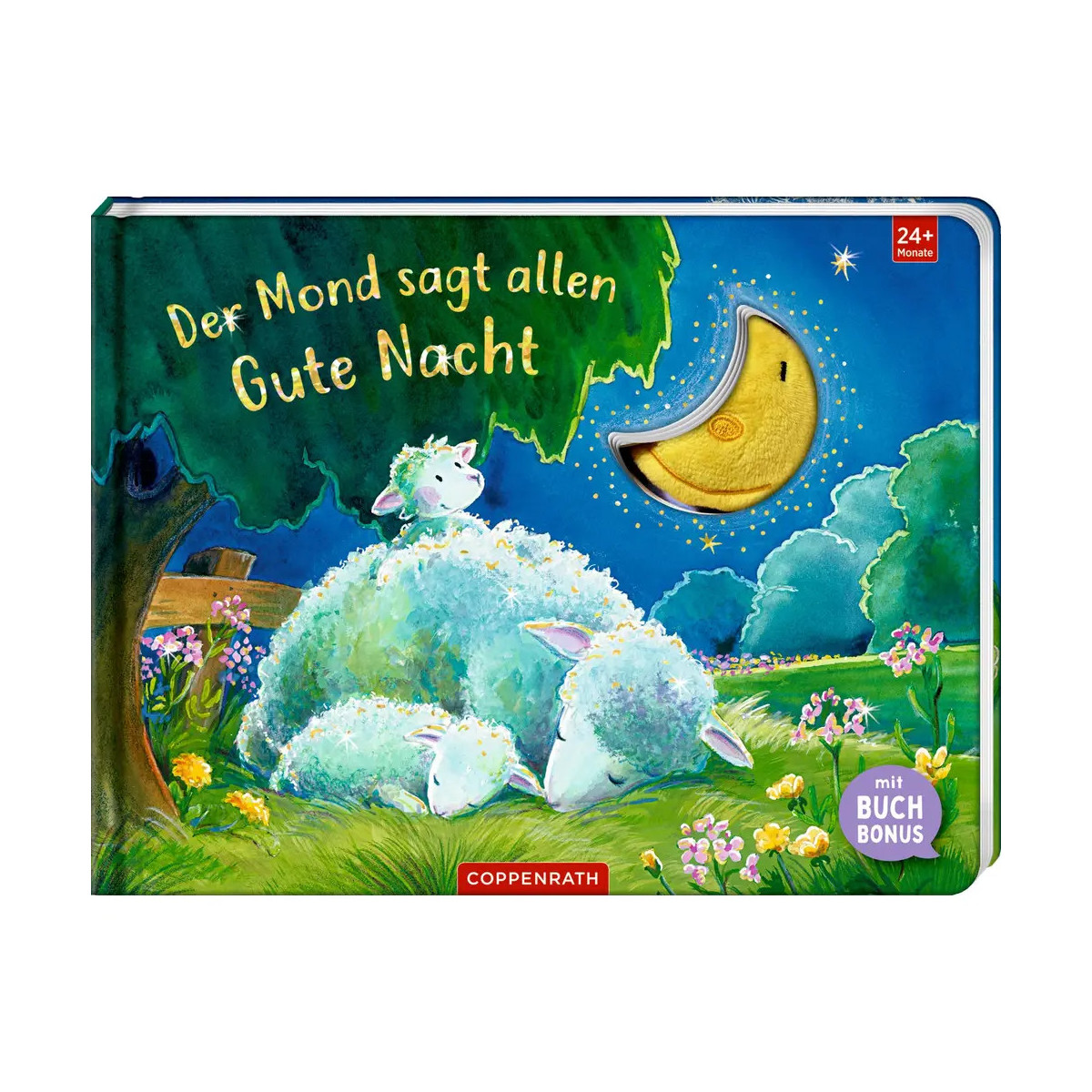 Illustration: Schafe schlafen unter lächelndem Mond, dazu der Text „Der Mond sagt allen Gute Nacht“.