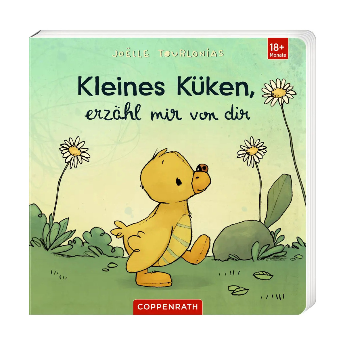 Illustriertes Buchcover: Ein gelbes Entenküken läuft durch Gras und Blumen, dazu deutscher Text.