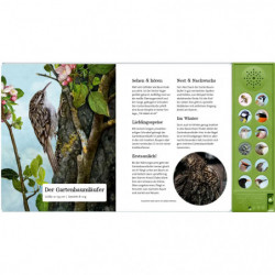 Was singt und summt im Apfelbaum?   Nature Zoom (Soundbuch)