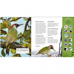 Was singt und summt im Apfelbaum?   Nature Zoom (Soundbuch)