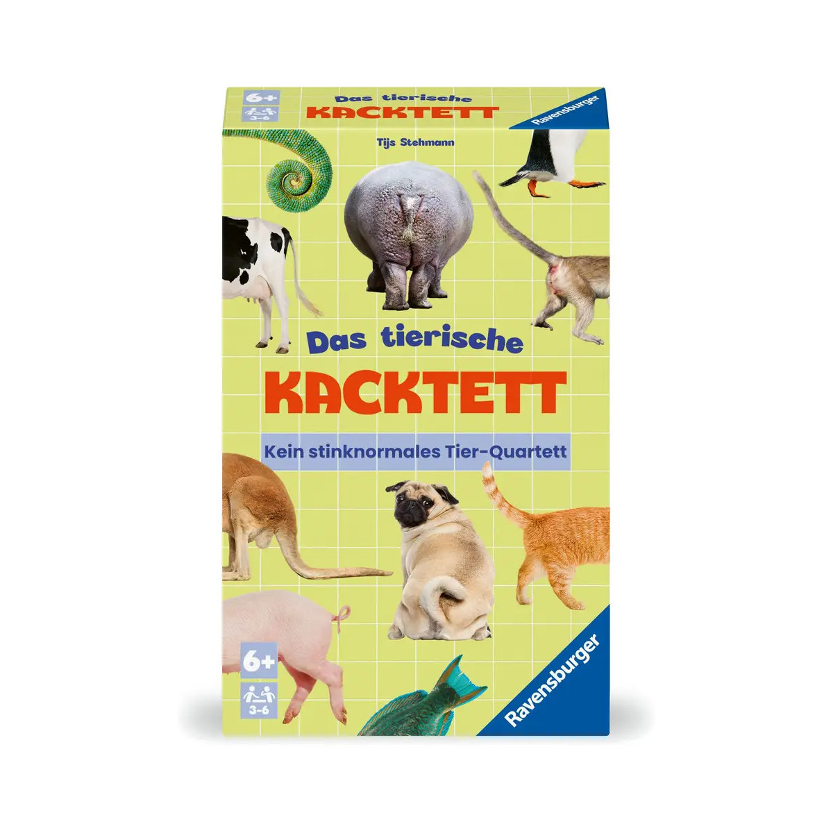 Spielbox mit Fotos verschiedener Tierhinterteile auf gelb-grün kariertem Hintergrund.