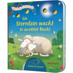 Mein Puste-Licht: Sternlein in Nacht