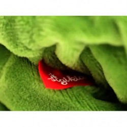 thumb-alternative:Sigikid  Rattel Raupe PlayQ Garden
